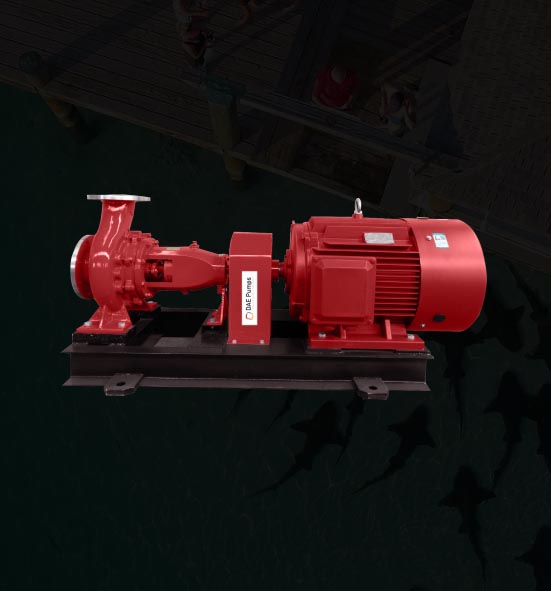 SPW-Series – Heavy-Duty Flooded Suction Pumps-img